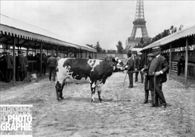 1912_CONCOURS-AGRICOLE.jpg